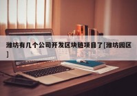 潍坊有几个公司开发区块链项目了[潍坊园区]