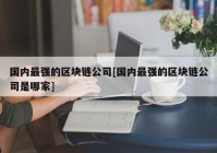 国内最强的区块链公司[国内最强的区块链公司是哪家]